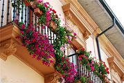 цветочный балкон